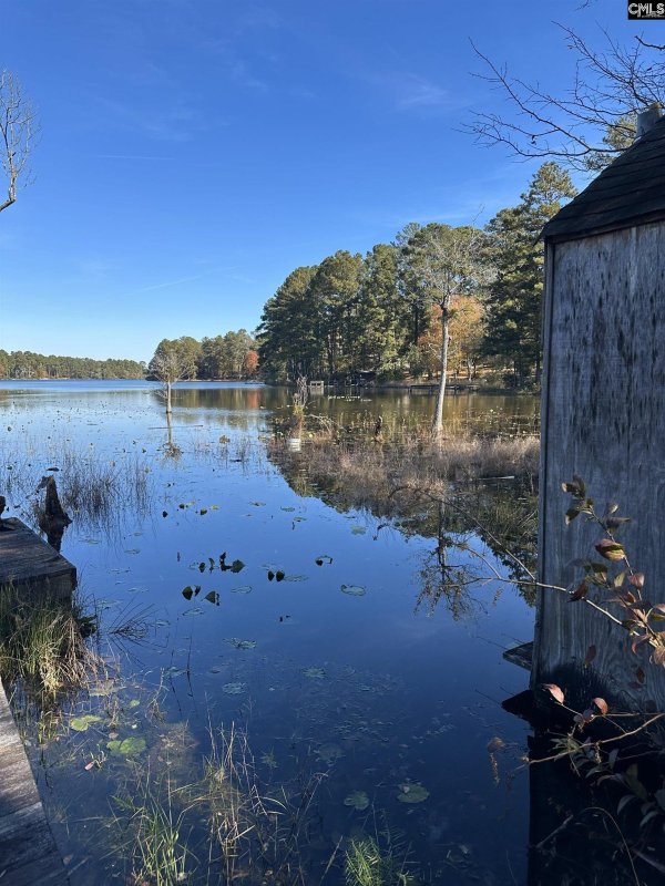Lot 39 Edisto Lake Road