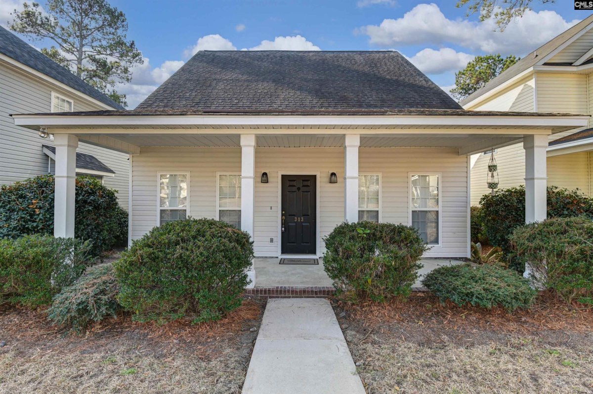 313 Castleburg Lane