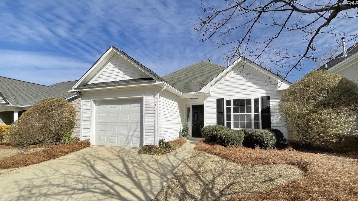 236 Bridgedale Drive