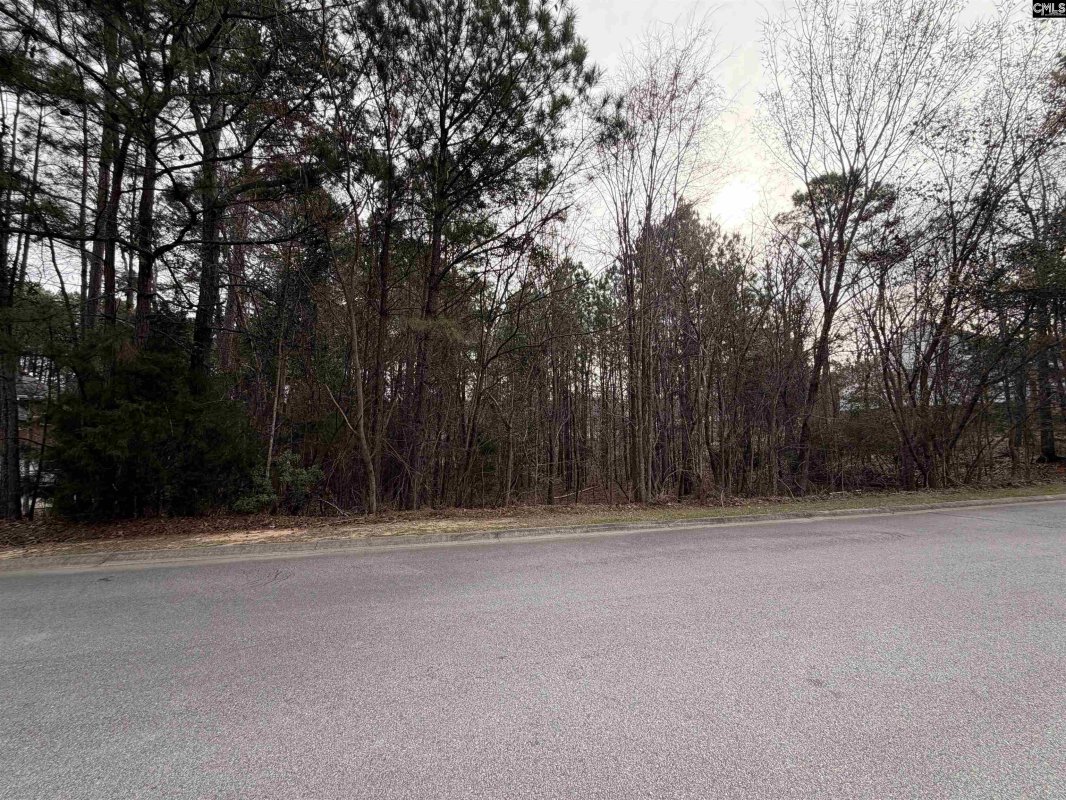 1334 Camping Road