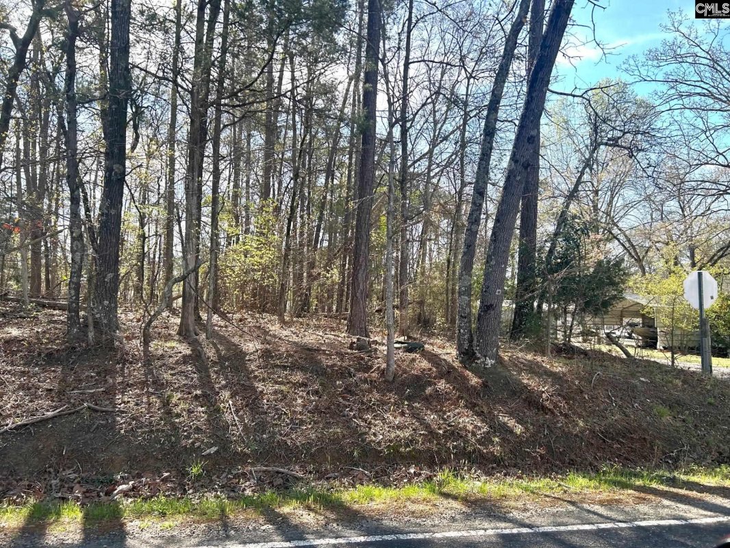 Holley Ferry Road