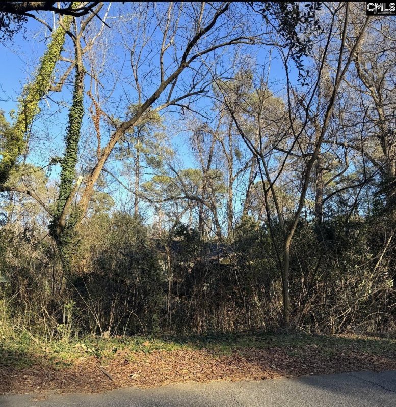 1522 Jerome Drive