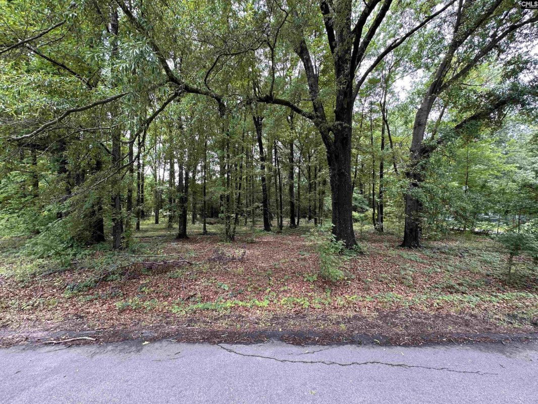 0 Sewanee Avenue