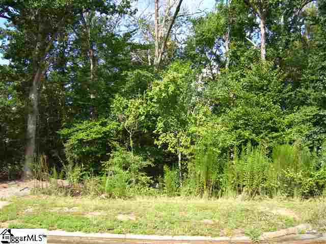 Lot 33 Allegheny