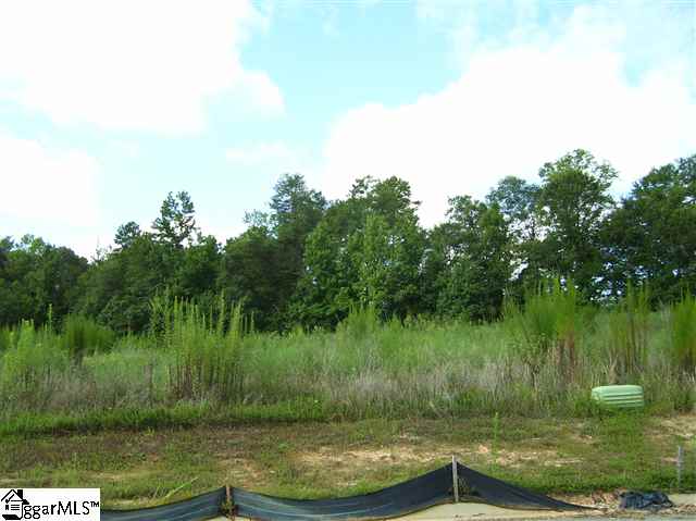 Lot 39 Allegheny