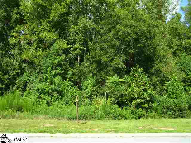 Lot 45 Allegheny