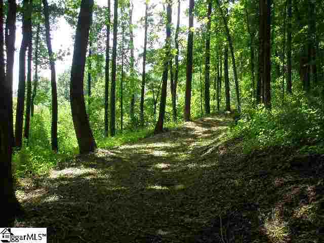 157 Bella Vista Court Cv-Cm-3 Valley, Corbin Mountain, Lot 3