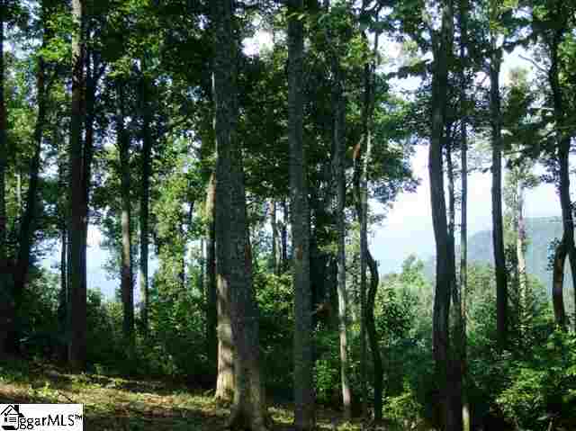 289 Bella Vista Court Cv-Cm-24 Valley, Corbin Mountain, Lot 24
