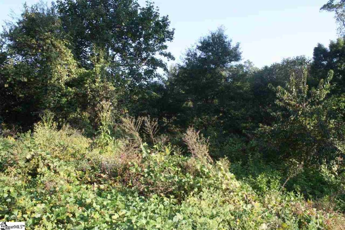 35 English Ivy Lane Lot 35