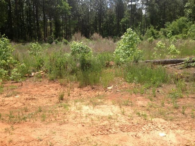 126 Dace Drive