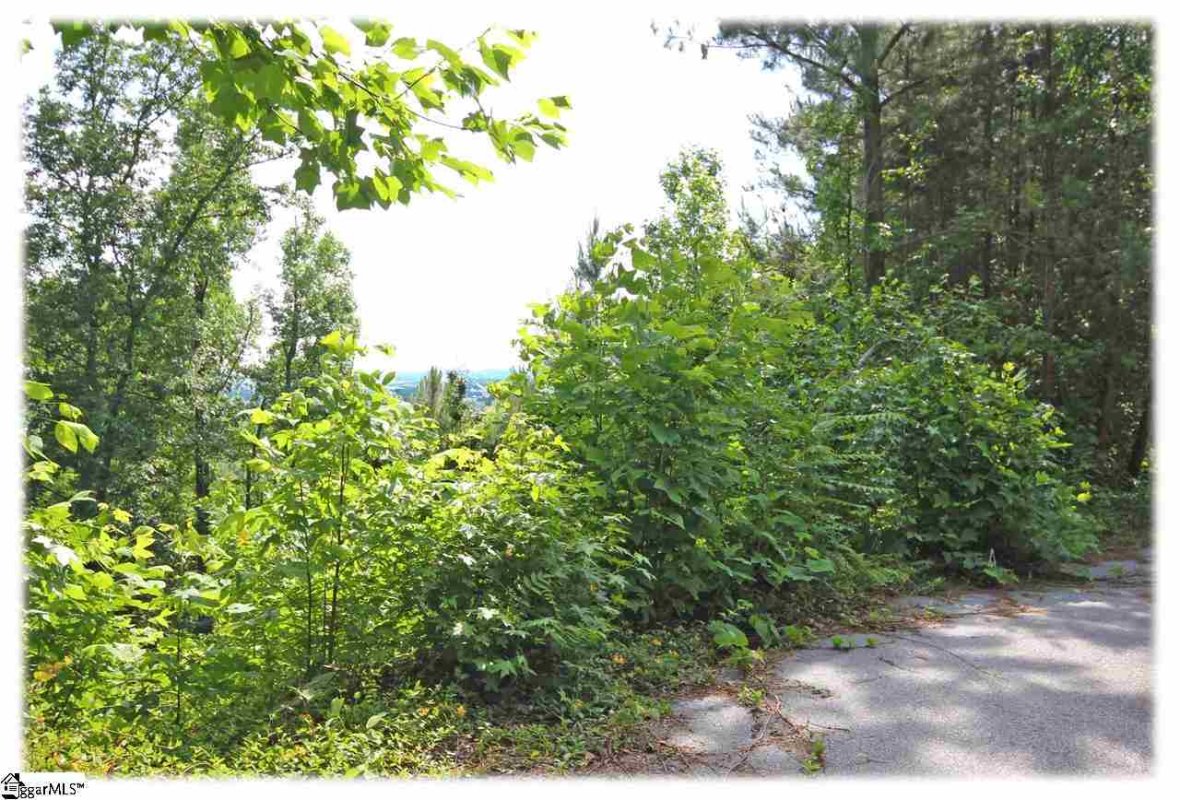 240 Lehman Moseley Ridge LOT 14