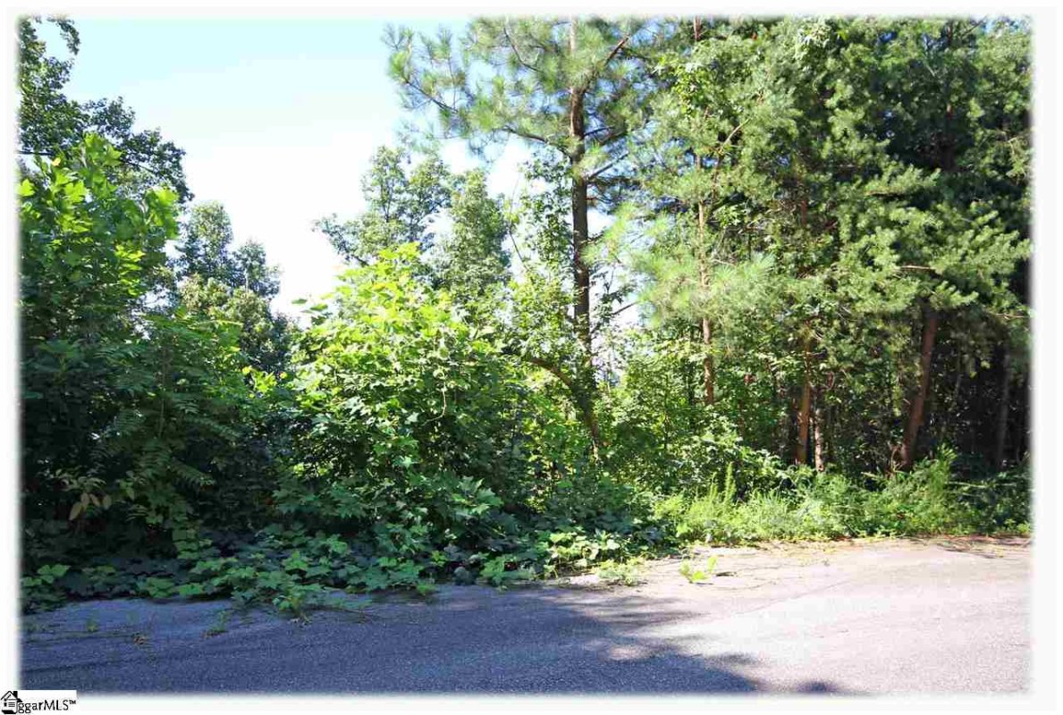 244 Lehman Moseley Ridge LOT 15
