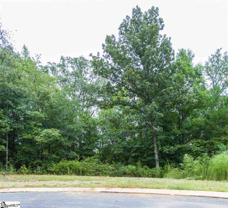 317 Red Spruce Lane Lot 58