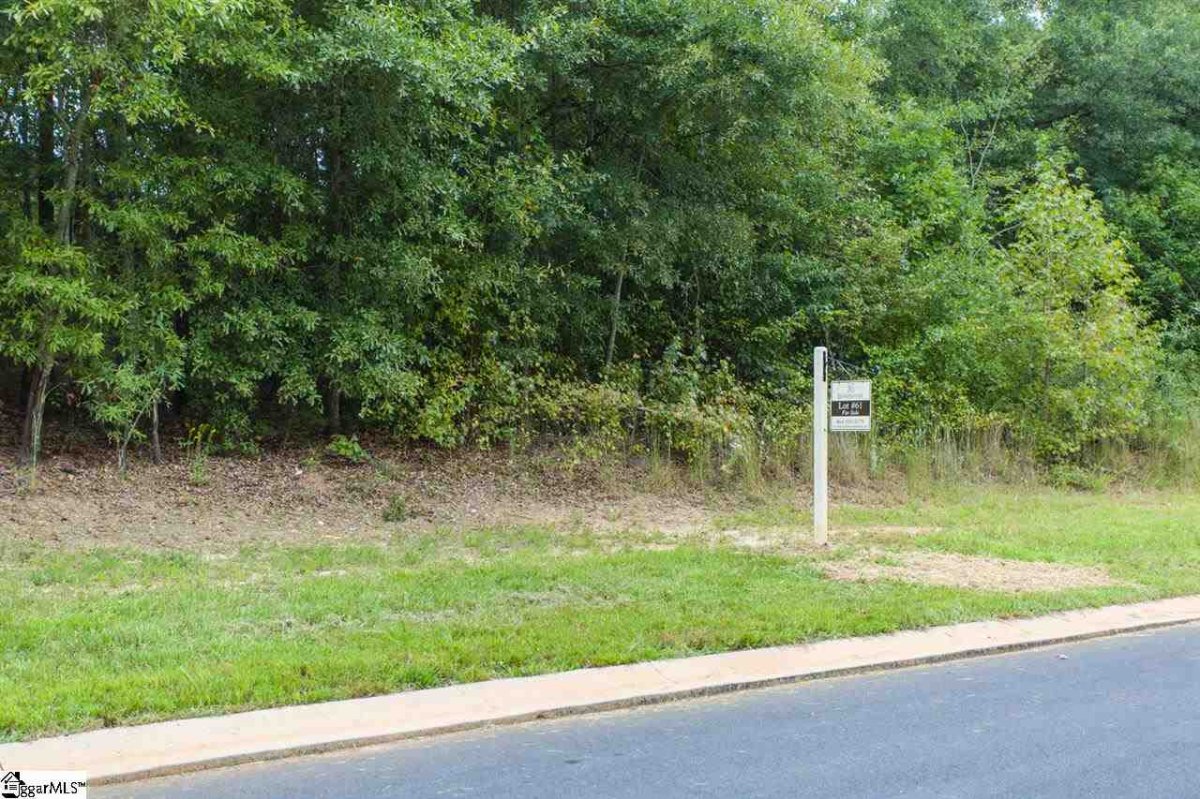 305 Red Spruce Lane Lot 61