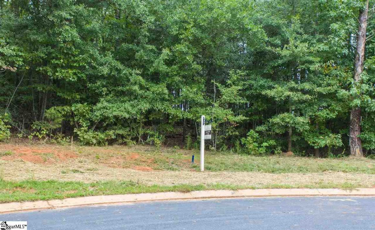 313 Red Spruce Lane Lot 59