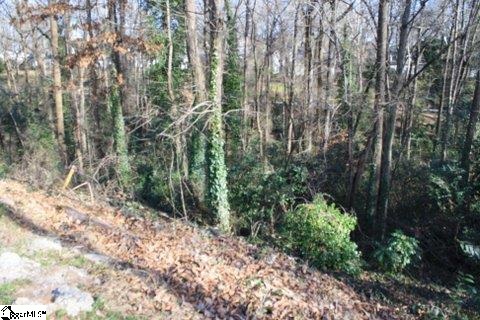 39 English Ivy Lane Lot 39