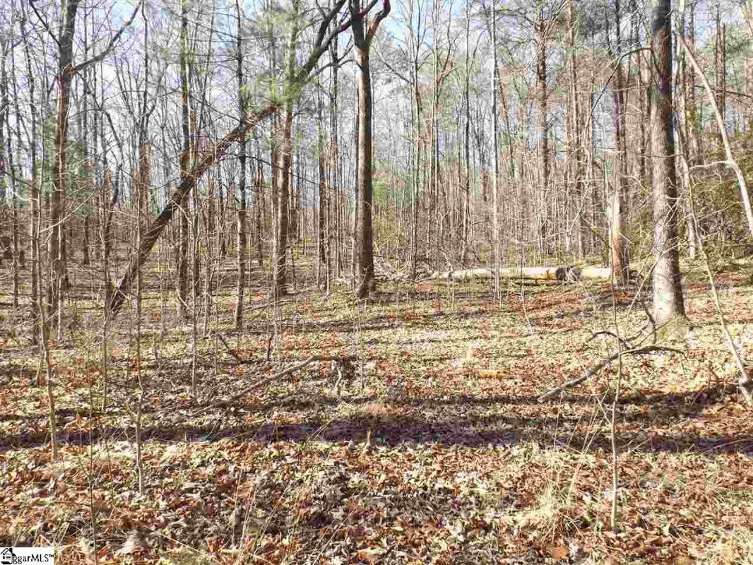 Tract 6 And 7 Mountain Ridge Estates Road lot 6 and 7  Shepherd Springs