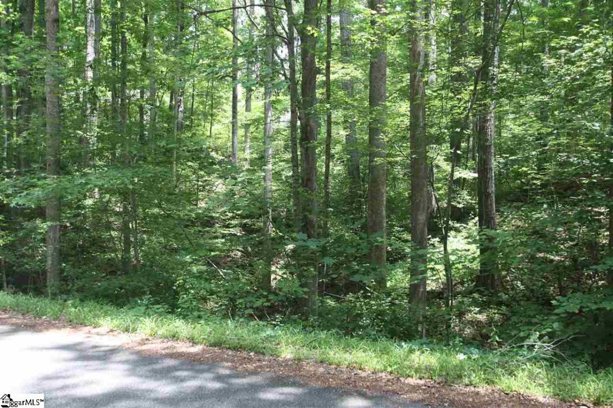 0 Forest Drive