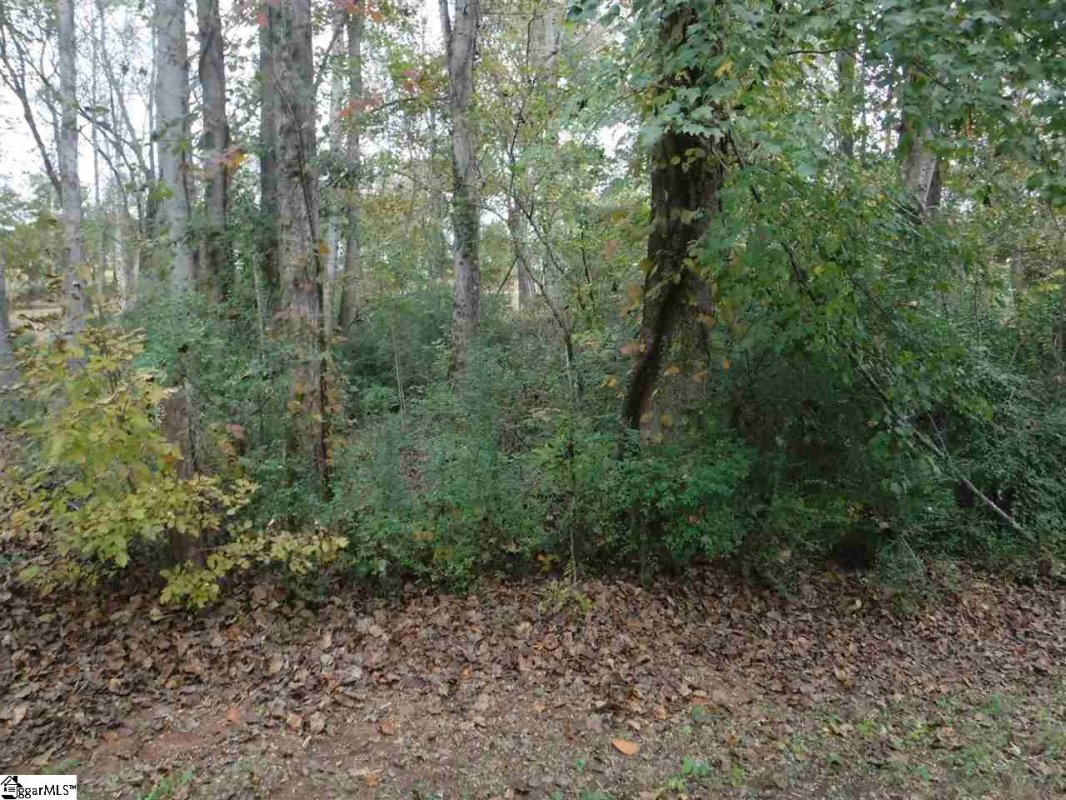 103 Quail Haven Drive
