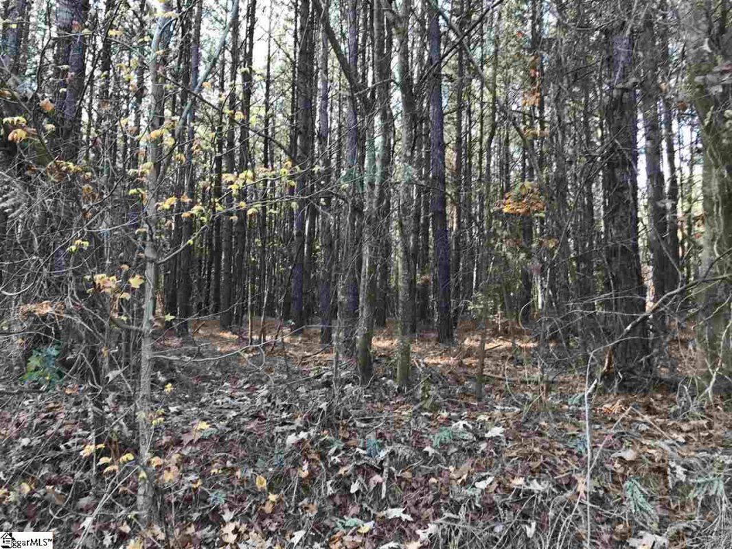 862 Dunklin Bridge Road