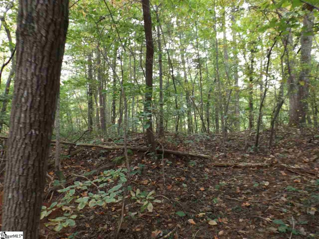 237 Broken Bow Run
