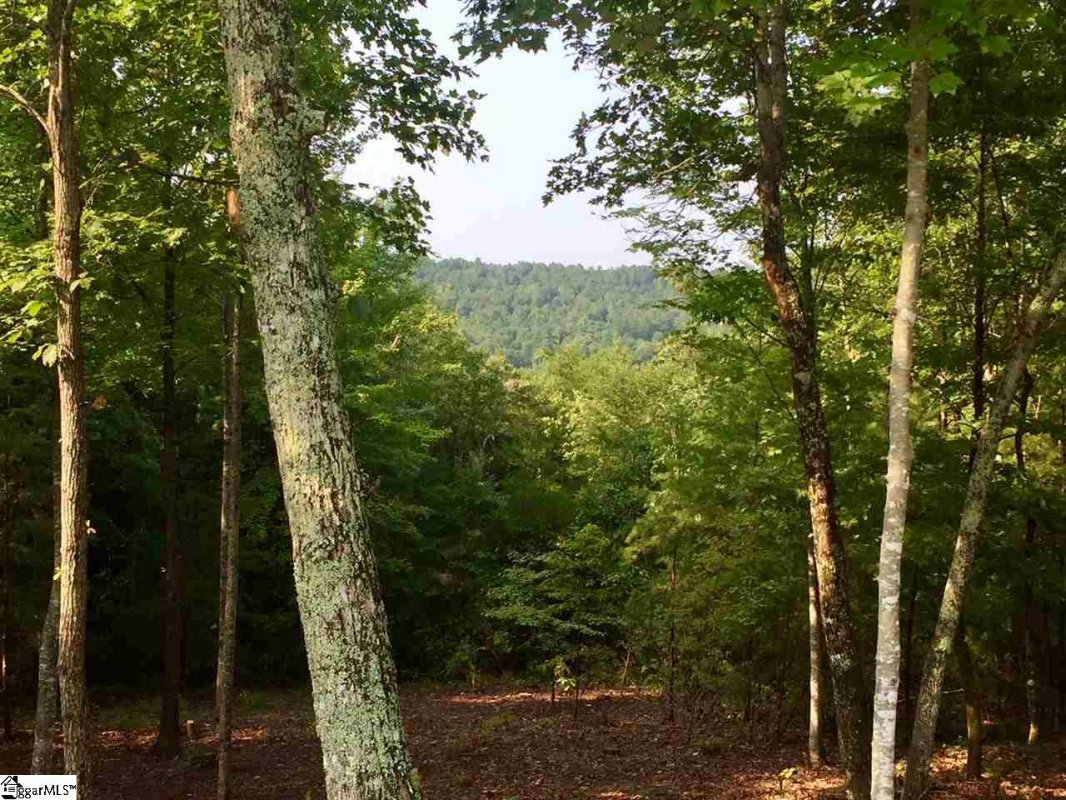 203 Blue Spruce Trail
