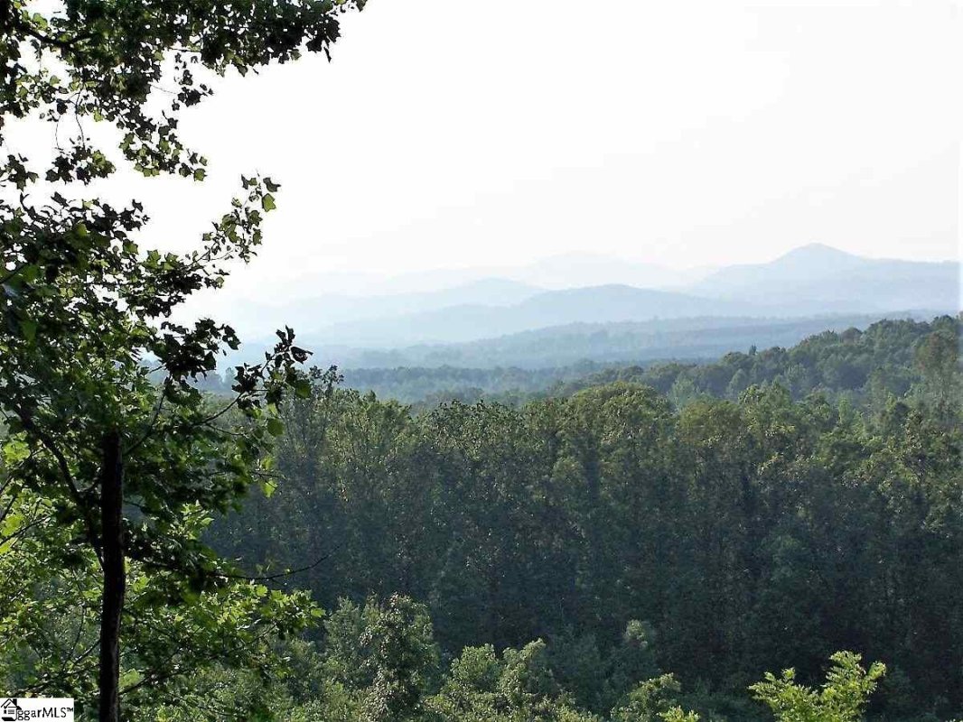 35 Packforest Road