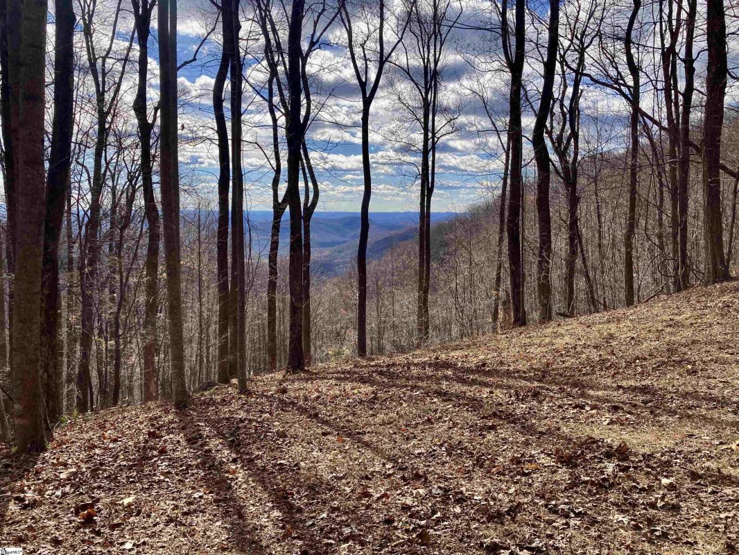1347 Panther Park Trail