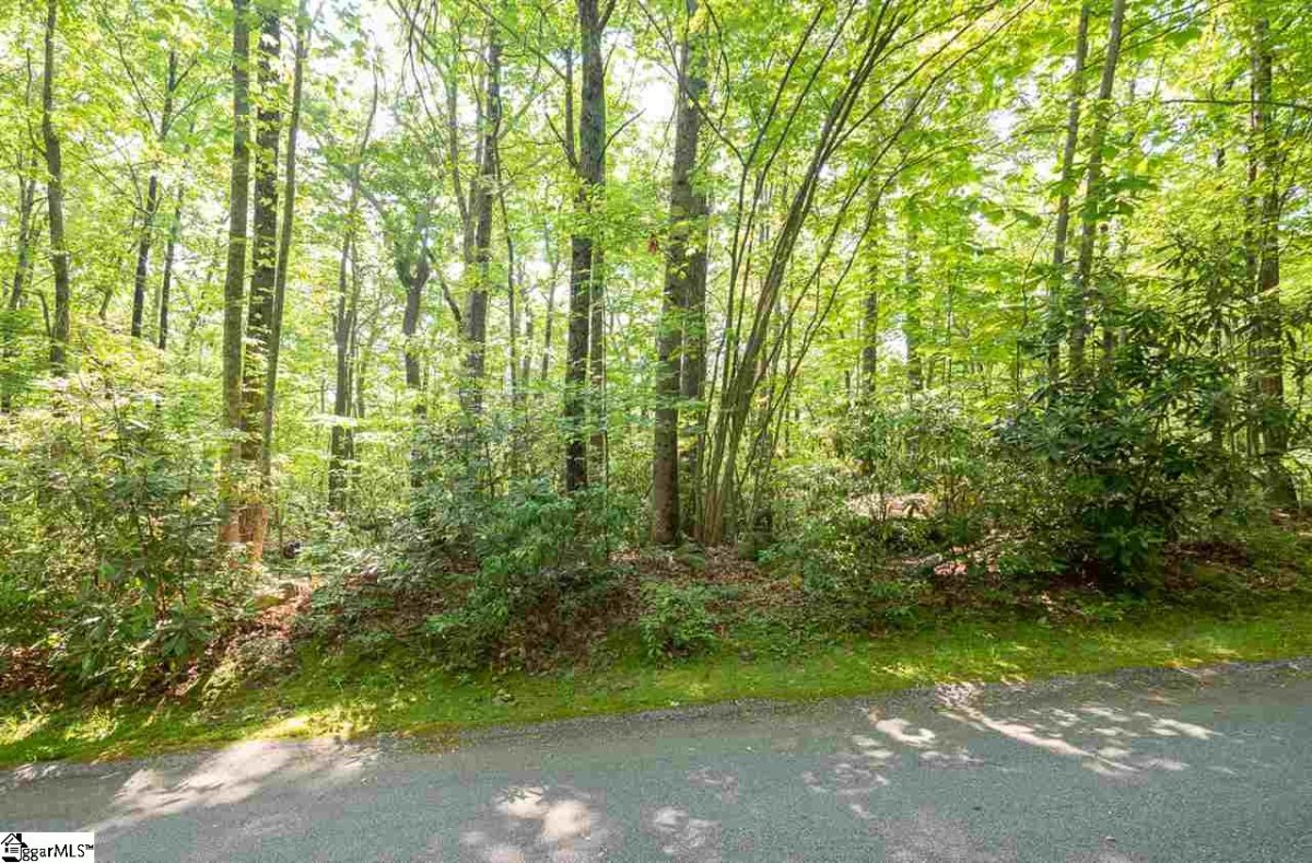 314 Mountain Laurel Drive