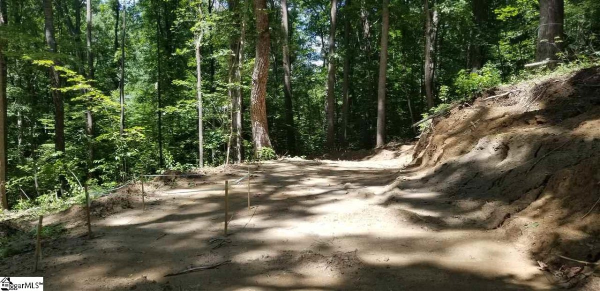 25 Forest Drive
