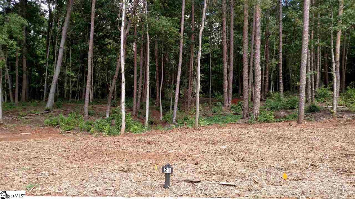31 Meadow Reserve Place Lot 21