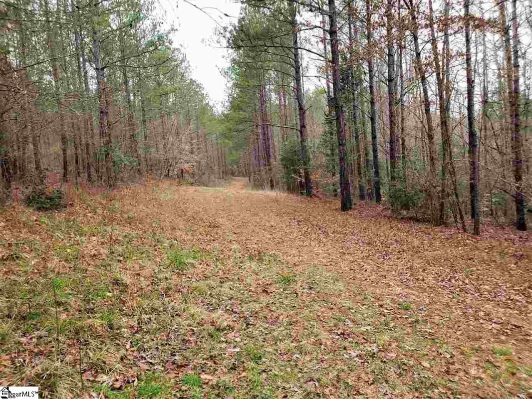 863 Dunklin Bridge Road Lot 24