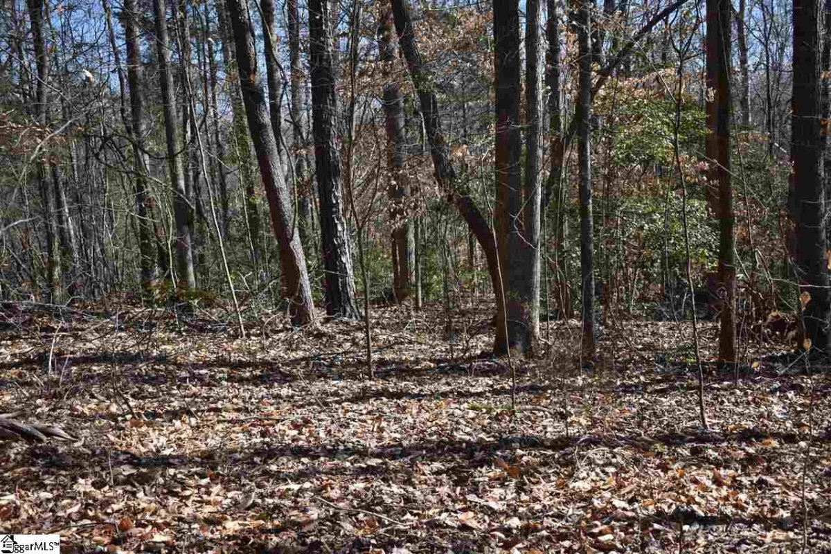 Grandwood Boulevard Lot 40 Section 1