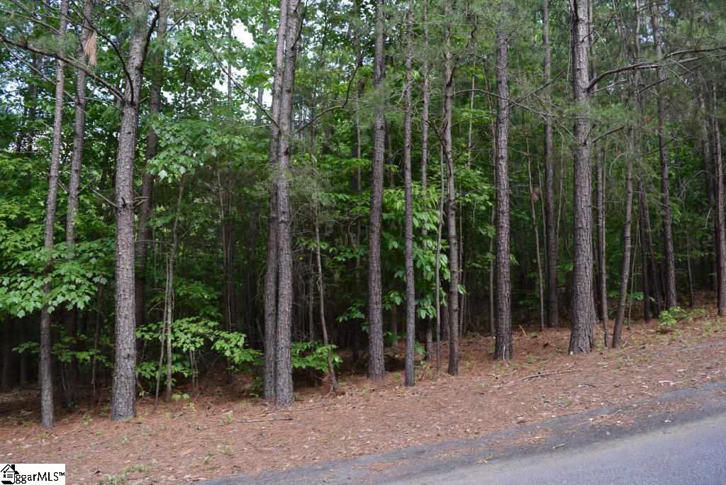 207 Long View Lane