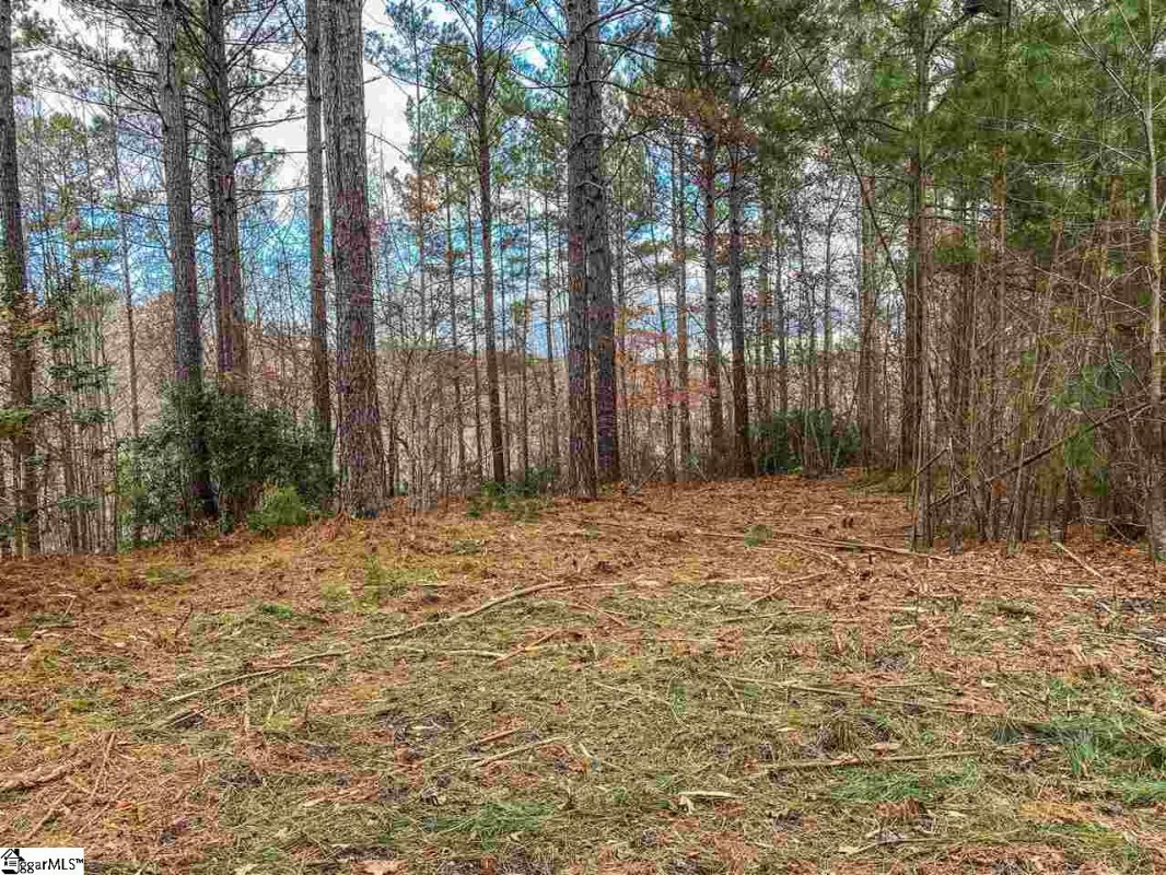 328 Knollwood Drive