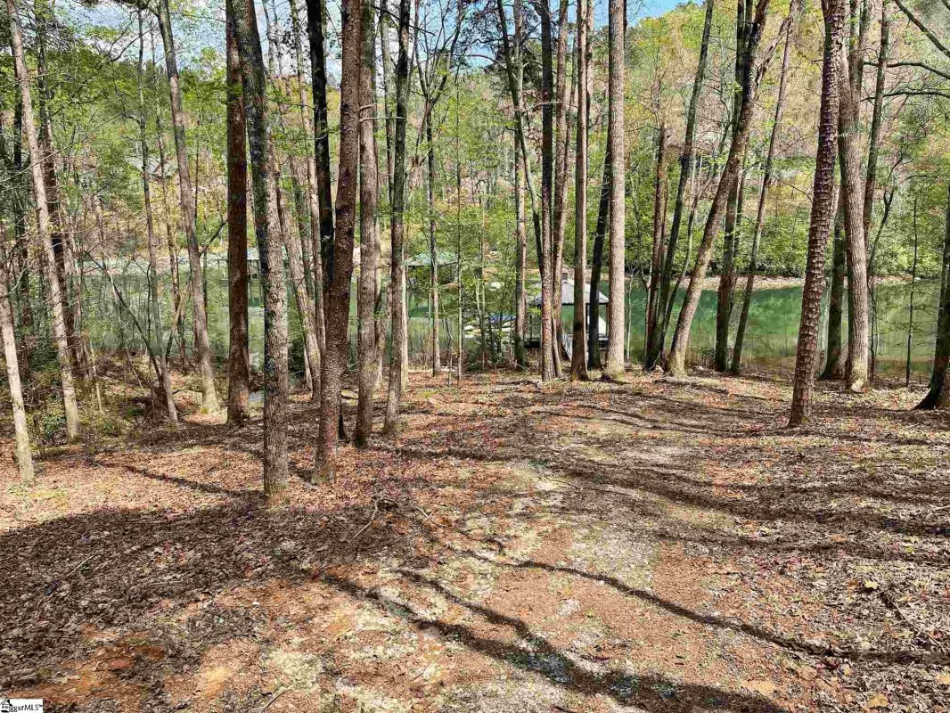 106 Mossy Way