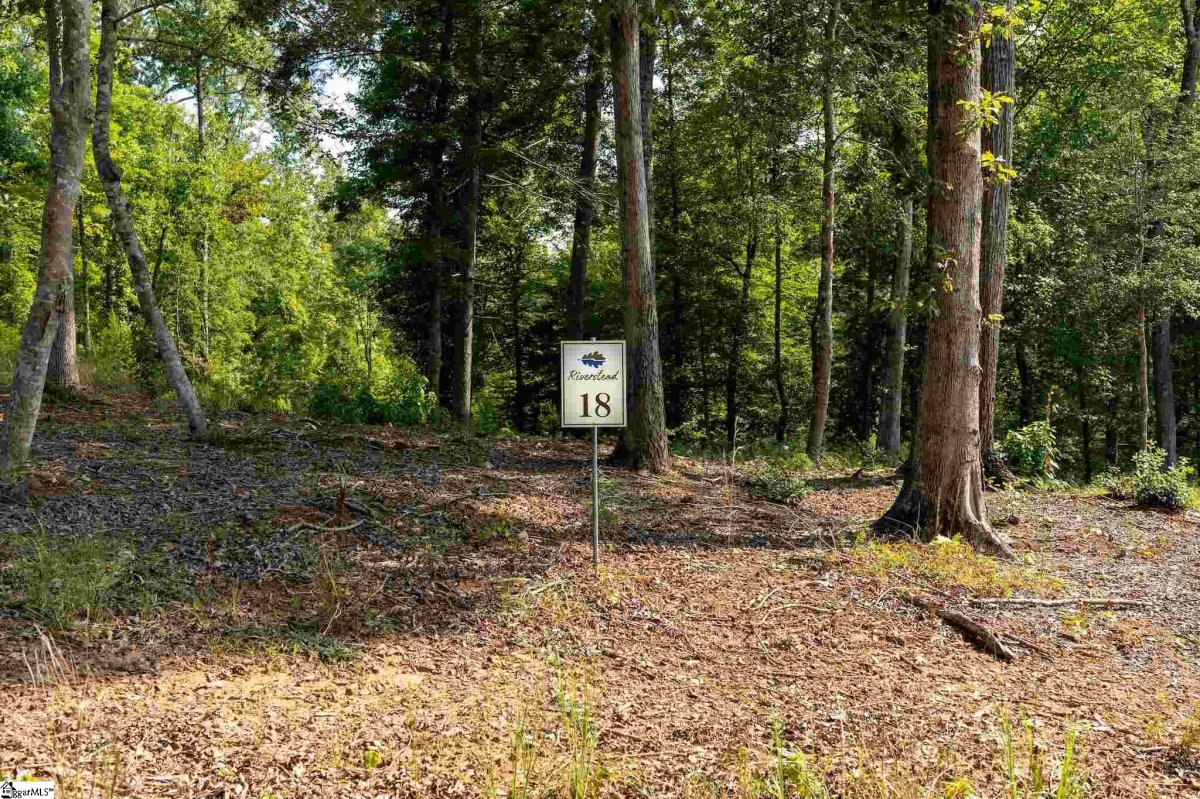 00 Meadow View Drive