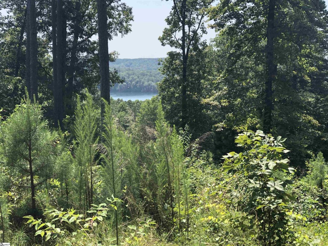 Ar54 Timberbluff Way