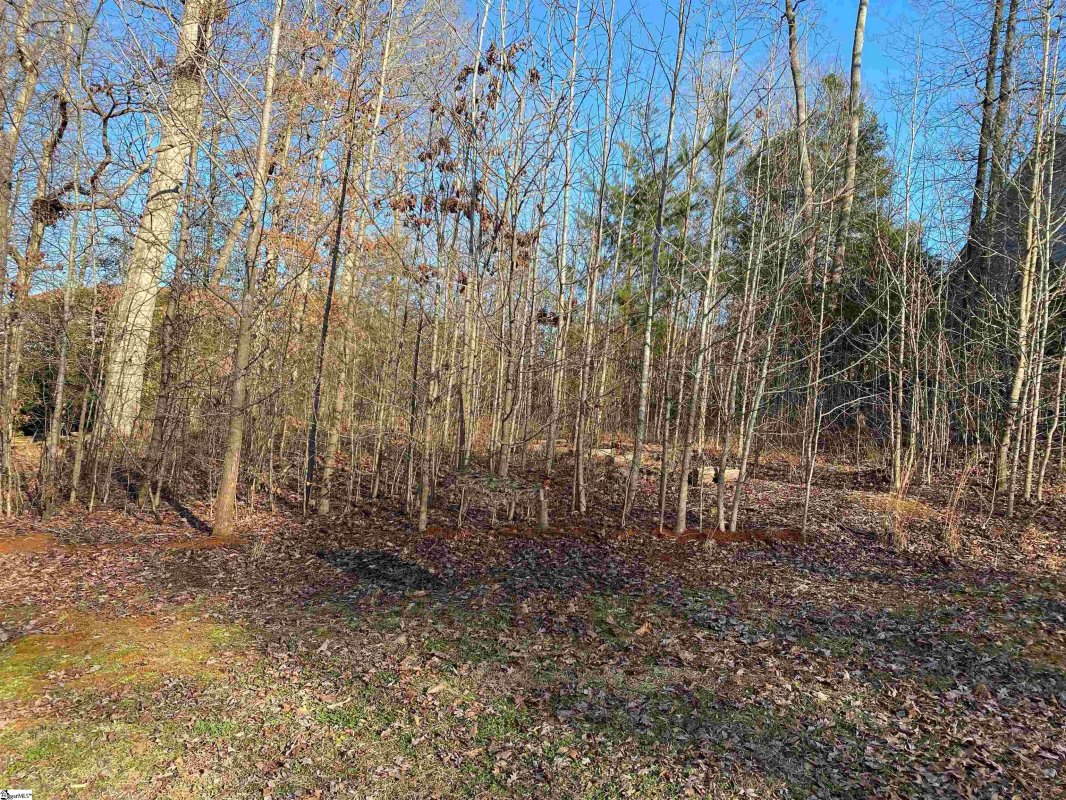 1021 Powderhorn Road