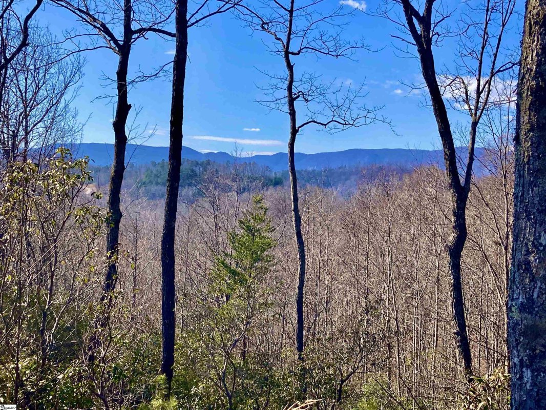 151 Carolina Wren Trail