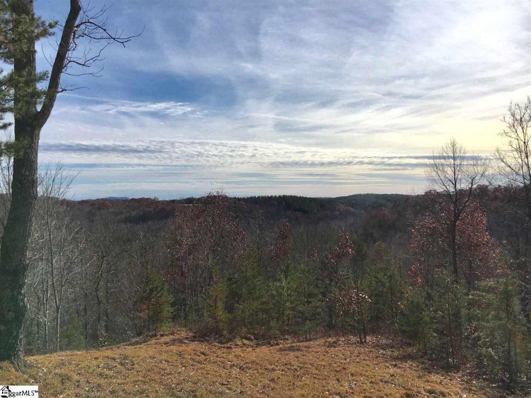 659 Blue Bonnet Trail