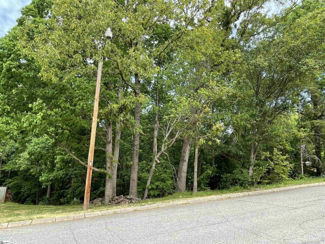 Hunters Woods Drive