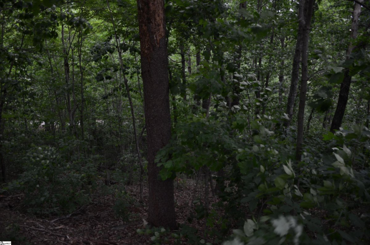 00 Altamont Forest Drive Lot 016