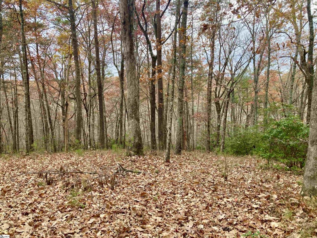 325 Highridge Parkway