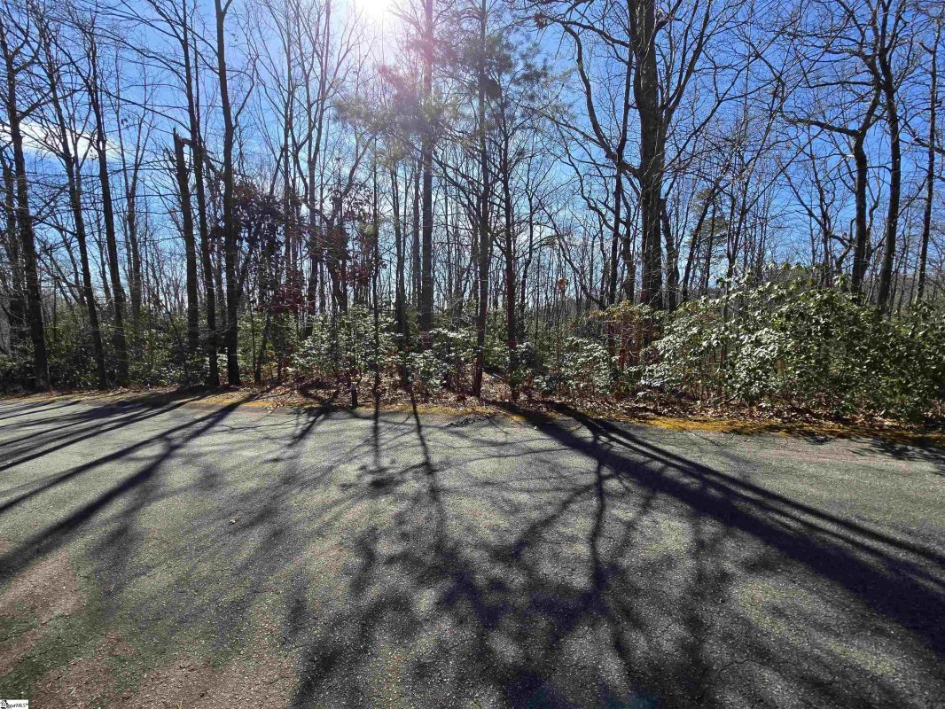 120 Birchbend