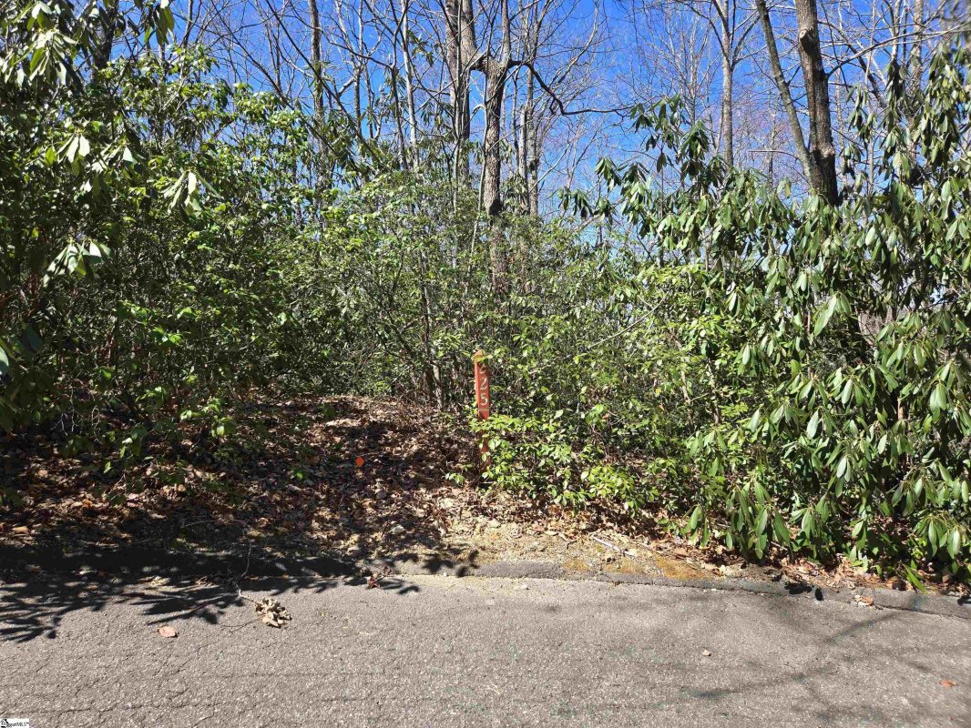 11 Larkspur Lane