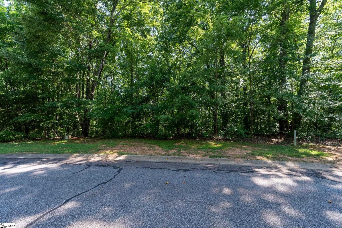 317 Laurel Valley Way