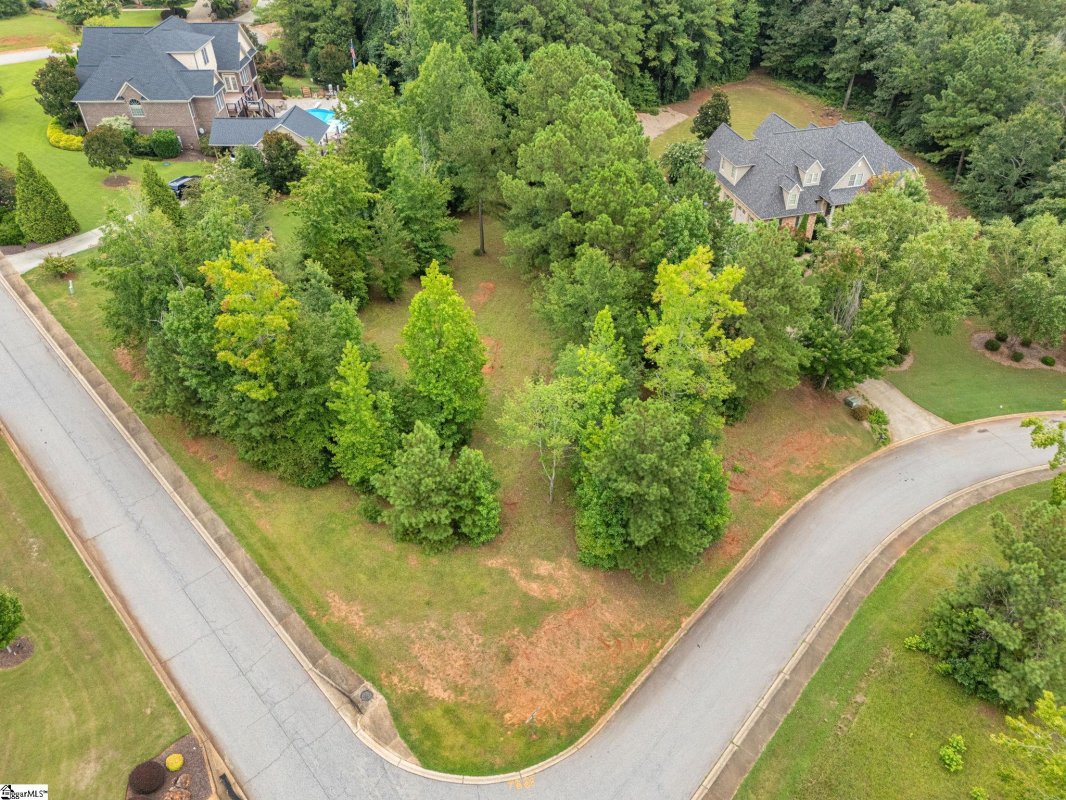 Weeping Willow Drive