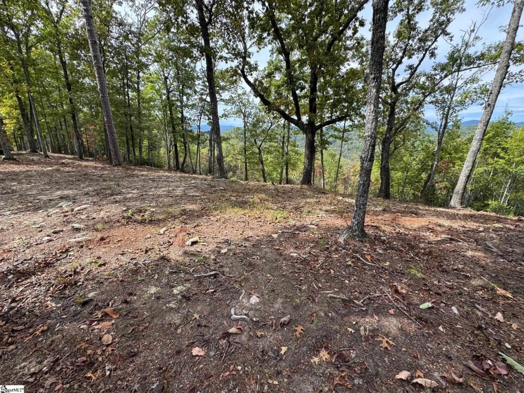 220 Blue Bonnet Trail