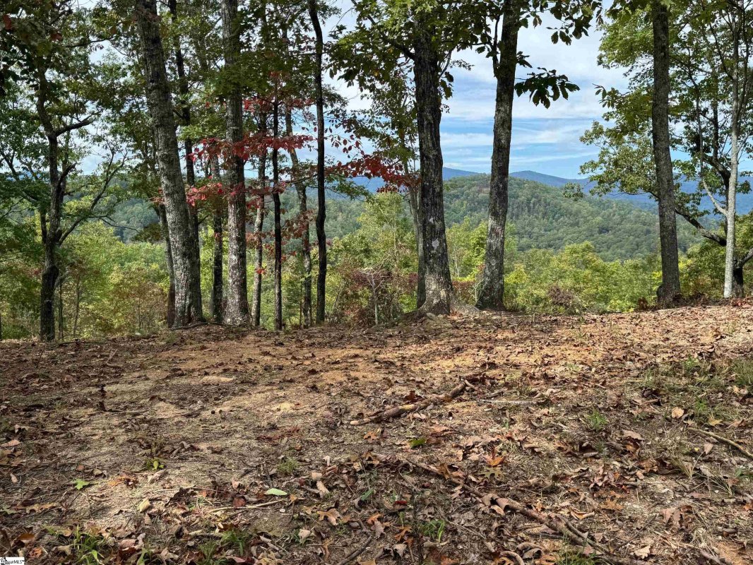 230 Blue Bonnet Trail